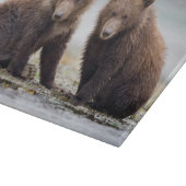 Kutest Baby Animals | Twee Beer kubussen Snijplank (Hoek)