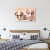 Kutest Baby Animals | Twee Corgi-Puppies Canvas Afdruk (Insitu (Slaapkamer))