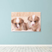 Kutest Baby Animals | Twee Corgi-Puppies Canvas Afdruk (Insitu (Houten vloer))