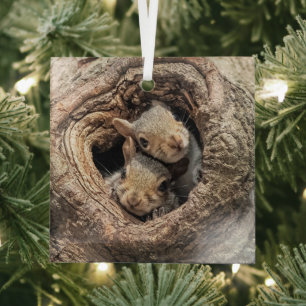 Kutest Baby Animals Twee jonge eekhoorns Glas Ornament