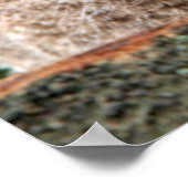 Kutest Baby Animals | Twee jonge eigenaars Poster (Hoek)