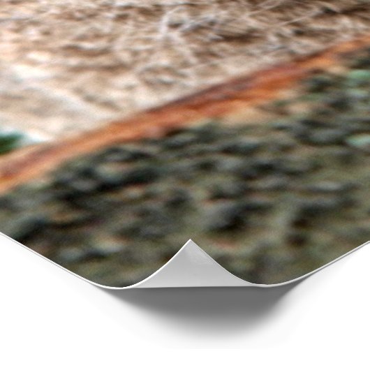 Kutest Baby Animals | Twee jonge eigenaars Poster (Hoek)