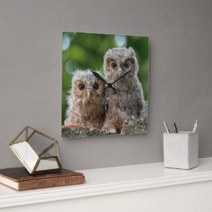 Kutest Baby Animals Twee jonge eigenaars Vierkante Klok