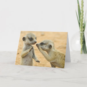 Kutest Baby Animals   Twee jonge Meerkats Kaart