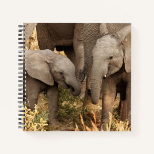 Kutest Baby Animals Twee jonge olifanten Notitieboek
