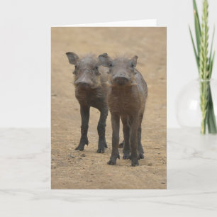 Kutest Baby Animals Twee jonge Warthogs Kaart
