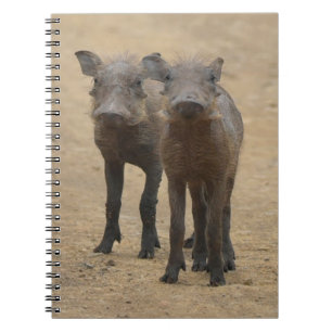 Kutest Baby Animals   Twee jonge Warthogs Notitieboek