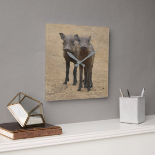 Kutest Baby Animals Twee jonge Warthogs Vierkante Klok