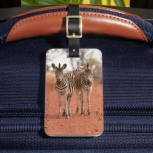 Kutest Baby Animals   Twee jonge Zebras Bagagelabel