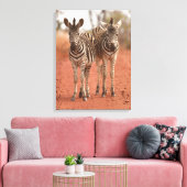 Kutest Baby Animals | Twee jonge Zebras Canvas Afdruk (Insitu (Woonkamer))