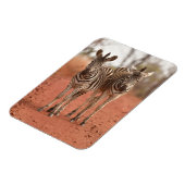 Kutest Baby Animals | Twee jonge Zebras Magneet (Linkerzijde)