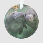 Kutest Baby Animals | Twee lamantijnen Ornament (voorkant)