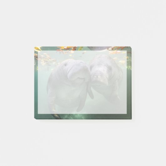 Kutest Baby Animals | Twee lamantijnen Post-it® Notes (Voorkant)