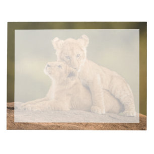 Kutest Baby Animals Twee lionkubussen Notitieblok