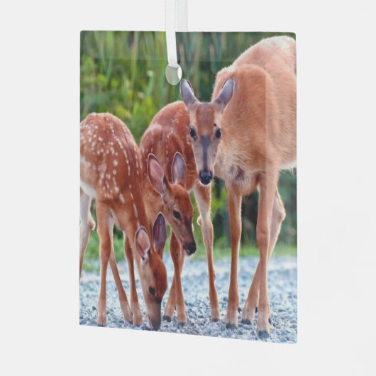 Kutest Baby Animals | Verdwenen met baby's Glas Ornament (Voorkant links)