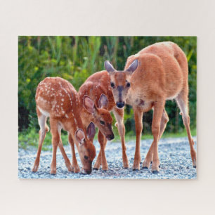 Kutest Baby Animals Verdwenen met baby's Legpuzzel