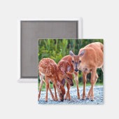 Kutest Baby Animals | Verdwenen met baby's Magneet (Voorkant / Achterkant)