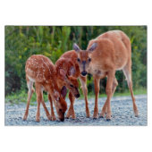 Kutest Baby Animals | Verdwenen met baby's Snijplank (Voorkant)