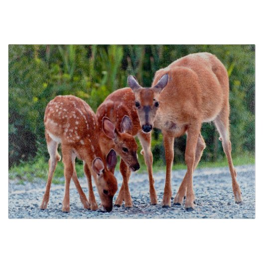 Kutest Baby Animals | Verdwenen met baby's Snijplank (Voorkant)