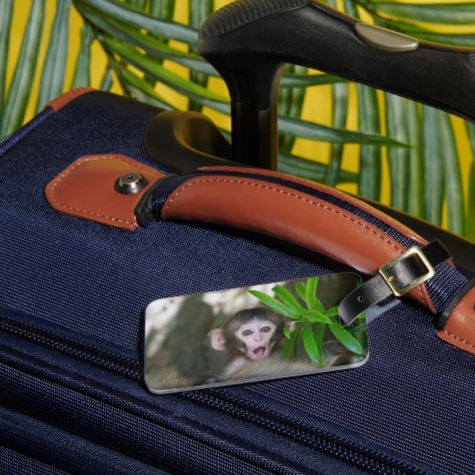 Kutest Baby Animals | Verrassde sneeuwaap Bagagelabel (Voorkant Insitu 3)