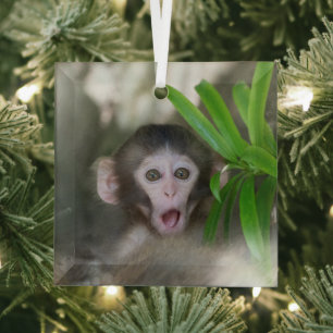Kutest Baby Animals Verrassde sneeuwaap Glas Ornament