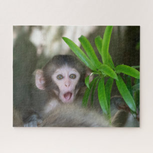 Kutest Baby Animals   Verrassde sneeuwaap Legpuzzel