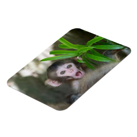 Kutest Baby Animals | Verrassde sneeuwaap Magneet (Linkerzijde)