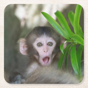 Kutest Baby Animals Verrassde sneeuwaap Vierkante Kartonnen Onderzetter