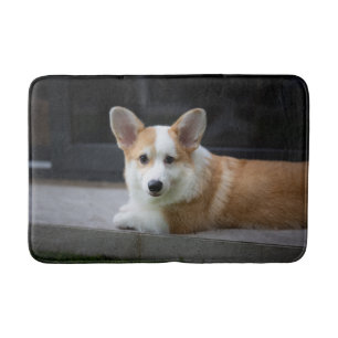 Kutest Baby Animals Versoepeling Corgi Puppy Badmat