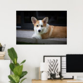 Kutest Baby Animals | Versoepeling Corgi Puppy Poster (Thuiskantoor)