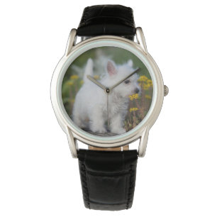 Kutest Baby Animals West Highland White Terrier Horloge