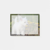 Kutest Baby Animals | West Highland White Terrier Post-it® Notes (Voorkant)