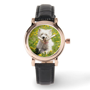 Kutest Baby Animals   Westie Dog in Dandelions Horloge