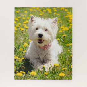 Kutest Baby Animals   Westie Dog in Dandelions Legpuzzel