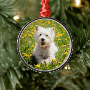 Kutest Baby Animals Westie Dog in Dandelions Metalen Ornament