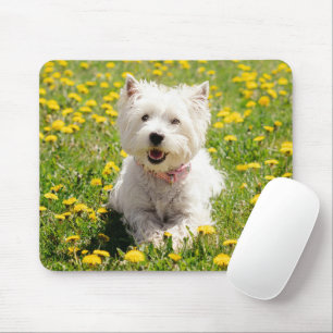 Kutest Baby Animals   Westie Dog in Dandelions Muismat