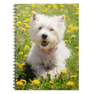 Kutest Baby Animals   Westie Dog in Dandelions Notitieboek
