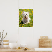 Kutest Baby Animals | Westie Dog in Dandelions Poster (Keuken)
