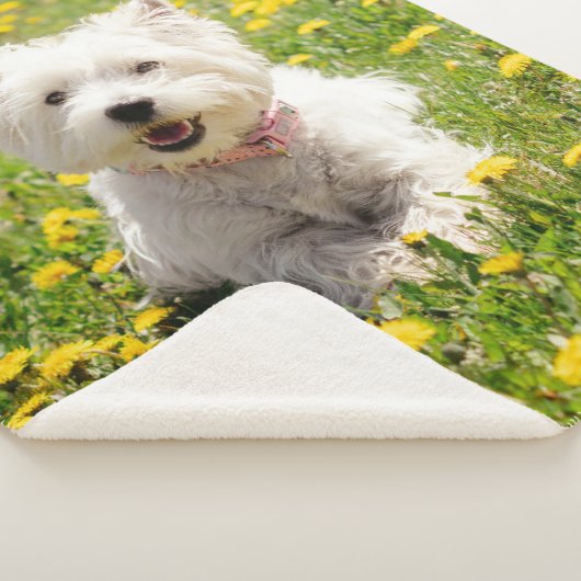 Kutest Baby Animals | Westie Dog in Dandelions Sherpa Deken (3/4)