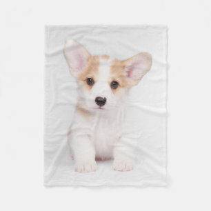 Kutest Baby Animals White Corgi Puppy Fleece Deken