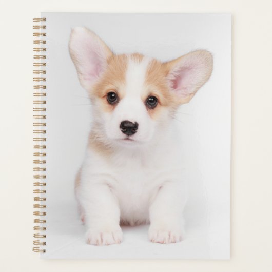 Kutest Baby Animals | White Corgi Puppy Planner (Voorkant)