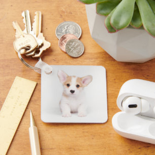 Kutest Baby Animals White Corgi Puppy Sleutelhanger