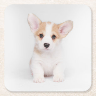 Kutest Baby Animals White Corgi Puppy Vierkante Kartonnen Onderzetter