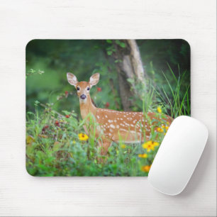 Kutest Baby Animals White Tailed Deer in Daisies Muismat