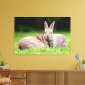 Kutest Baby Animals | Wild Bunny Rabbits Canvas Afdruk (Insitu (Woonkamer))