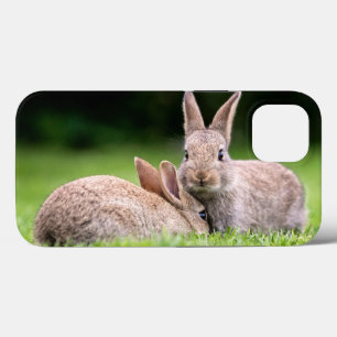 Kutest Baby Animals Wild Bunny Rabbits iPhone 13 Hoesje