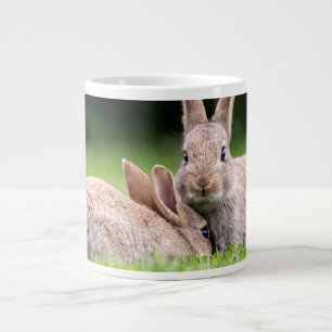 Kutest Baby Animals   Wild Bunny Rabbits Extra Grote Beker