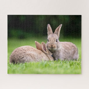 Kutest Baby Animals Wild Bunny Rabbits Legpuzzel