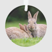 Kutest Baby Animals | Wild Bunny Rabbits Ornament (achterkant)
