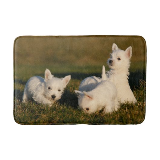 Kutest Baby Animals | Witte Terriers West Highland Badmat (Voorkant)
